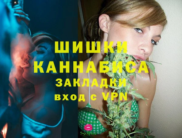 таблы Гусев