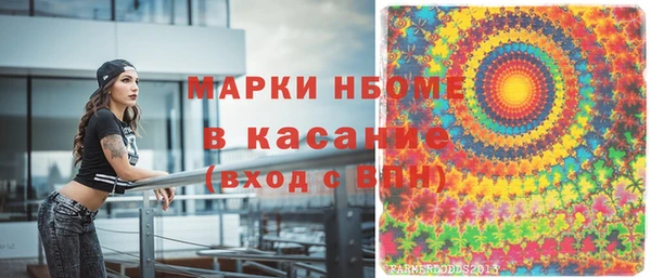 таблы Гусев