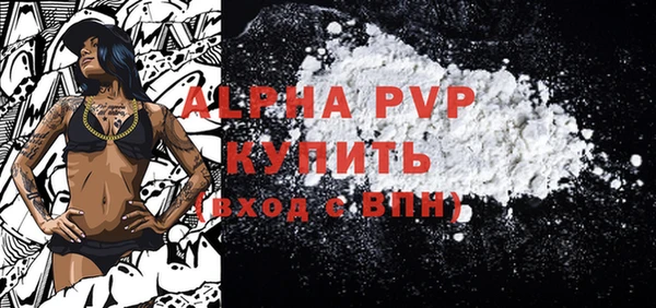 таблы Гусев
