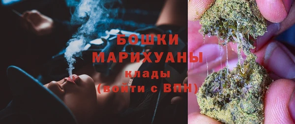 таблы Гусев